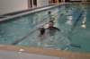 dsc_0357_small.jpg