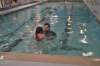 dsc_0844_small.jpg